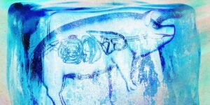 Groundbreaking Transplant Innovations: Supercooled Kidneys and the Rise of Homegrown Chinese Chips