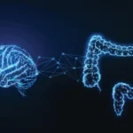 Your gut may help your brain decide what to remember