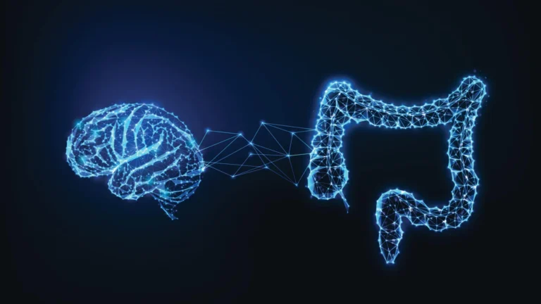 Your gut may help your brain decide what to remember