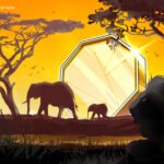 Zimbabwe Embraces Innovation: Seven Fintech Projects Granted Entry to Regulatory Sandbox