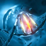 Understanding Why DNA Damage Triggers Cancer Differently in Individuals