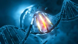 Understanding Why DNA Damage Triggers Cancer Differently in Individuals