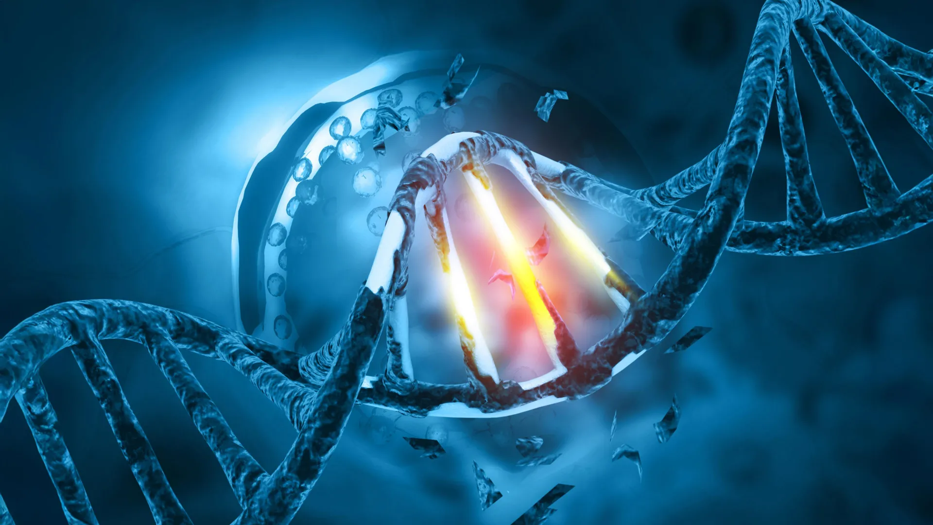 Understanding Why DNA Damage Triggers Cancer Differently in Individuals