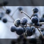 Why iPhone Apps Freeze and How to Fix It Safely