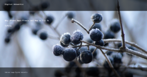 Why iPhone Apps Freeze and How to Fix It Safely - Digital Adsvertic