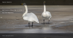 App Frozen on iPhone: What to Do When an App Stops Responding - Digital Adsvertic