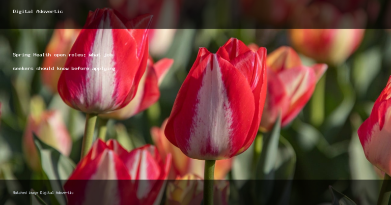 Spring Health open roles: what job seekers should know before applying - Digital Adsvertic