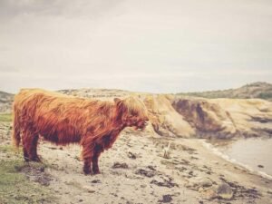 Navigating the New Digital Landscape: How AI is Reshaping Web Traffic and Publisher Strategies