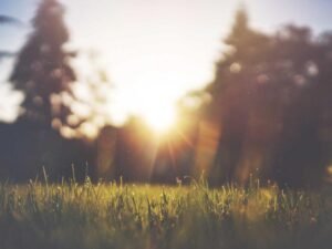 Building the enterprise environment for agentic AI