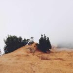 Maximizing ROI in Native Advertising: Strategies for Success
