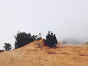 Maximizing ROI in Native Advertising: Strategies for Success