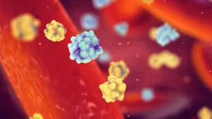 Unveiling the Role of Misfolded Insulin in Diabetes Development