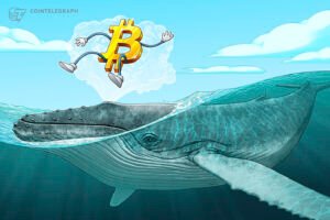 Bitcoin Dormancy Dips: Long-Term Holders Retreat as Market Stabilizes