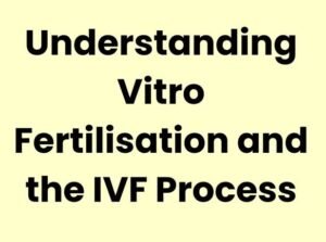Understanding In Vitro Fertilisation and the IVF Process: A Step-by-Step Guide
