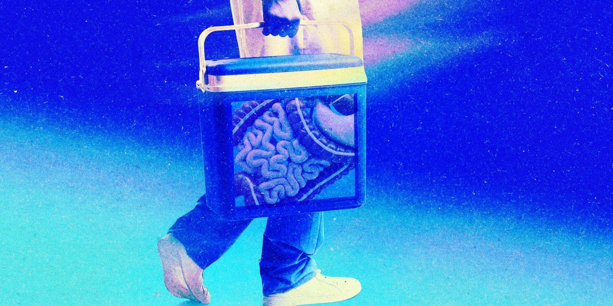 Revolutionizing Organ Preservation: The Future of Keeping Organs Alive Outside the Body