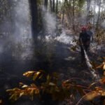 France and Spain Prepare for Scorching Heatwave as Wildfires Rage On