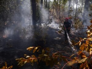 France and Spain Prepare for Scorching Heatwave as Wildfires Rage On