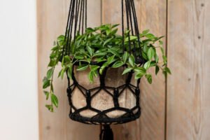Artificial Hanging Plant Ideas for a Fresh Home Decor Look in 2026