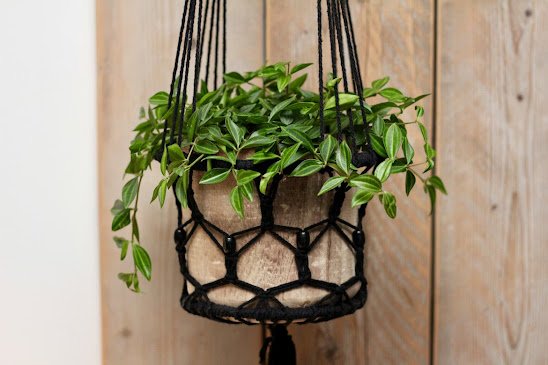 Artificial Hanging Plant Ideas for a Fresh Home Decor Look in 2026
